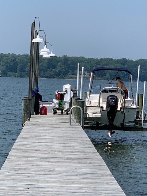 Scout Is a Great Dock Cart